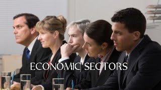 ECONOMIC SECTORS amp INSTITUTIONS CLARIFICATION [upl. by Ytiak624]