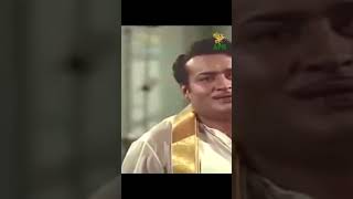 Thillana Mohanambal Movie Best Scene l Sivaji Ganesan  Padmini  Manorama  APN Films [upl. by Ydisac]