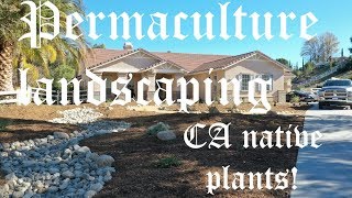 What is Permaculture landscaping California native landscape install [upl. by Allain822]