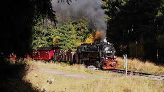 Verspätung und rutschige Schienen  Dampflok 99 7245 stürmt nach Benneckenstein [upl. by Tiossem]