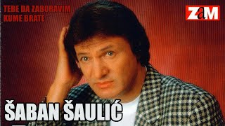 Saban Saulic  Njeno velicanstvo zena  Audio 1998 [upl. by Mccollum]