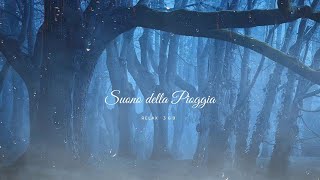 Suono Pioggia e Temporali 🍃🧘🏽☔per Profonda Meditazione🍃Studiare📜 Dormire😴 e Spa 30 Min🍃ASMR🍃RELAX [upl. by Tnahsarp]