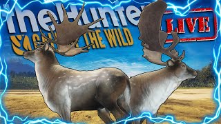 Can We Get A Great One Fallow Deer Before Level 60 Stream 2 Of Season 3 Call of the wild [upl. by Teloiv]