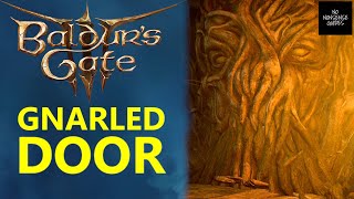 Baldurs Gate 3 Gnarled Door  How to Open Gnarled Door in Overgrown Tunnel with Minimum Damage [upl. by Deb]