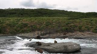 2014 McNeil River Center Rock  Timelapse [upl. by Bail]