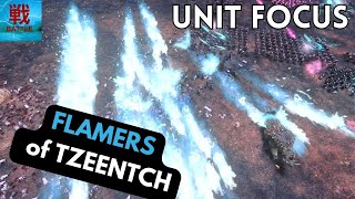 Flamers of Tzeentch All Types  Unit Focus [upl. by Garretson]