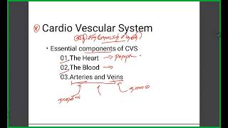 Hypertensive Medicines Pharmacology [upl. by Winograd]