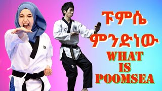 ፑምሴ ምንድነው  What is Poomsea in Taekwondo [upl. by Tihor949]