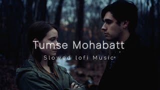 Tumse Mohabatt Hai lofi song by Jalraj lofisong lovesong sadsong [upl. by Fernando602]