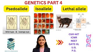 Psedoallele Isoallele Lethal allele Inheritance Biology Priyas Lifescience Academy [upl. by Erving]