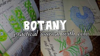 Botany practical journal for 1st year with colorful diagram [upl. by Enajyram]