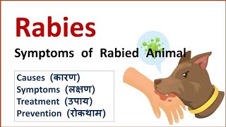 Rabies  Hydrophobia  Causes Symptoms [upl. by Malaspina]