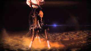 Clinton Anderson Performance Horses [upl. by Pronty]