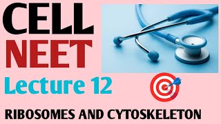 Cell  Ribosomes and cytoskeleton Lecture 12 Ncert 11 [upl. by Honeyman]