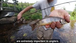 2020 Statewide Angler Survey Results  Salmonid Management [upl. by Aan]