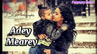 ኣደይ መዓረይ  Adey Mearey  best tigrigna music tigrignamusic [upl. by Nesaj]