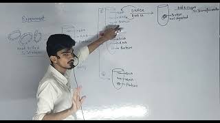 molecular basis of inheritance class 12 lecture 09 [upl. by Kerin]