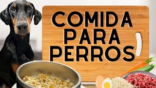 COMIDA PARA PERROS  RECETA CON CARNE MOLIDA  FACIL NUTRITIVA [upl. by Shaine]