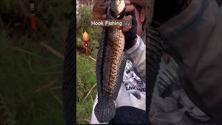 Jungle Fishing by Hook 🎣🐟  ytshorts shorts fishing bigcarp villagelife reels foryou [upl. by Hersch190]