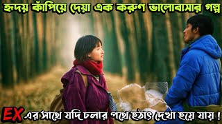 যে ভালোবাসার গল্পে কাঁদবেন আপনিও  Us and Them 2018 Chinese Love Story Movie Explain in Bangla [upl. by Nezah]