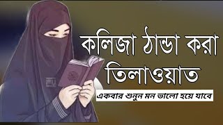 মহিলা মাদ্রাসার ছোট মেয়ের কন্ঠে অসাধারণ একটি তেলাওয়াত vairalvideo fypシ゚viral fyp [upl. by Aray]