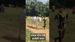 Soheb patel nandi hardoli wala nadora patpratiyogita shortviral seoni barghat maharashtra [upl. by Sanbo354]