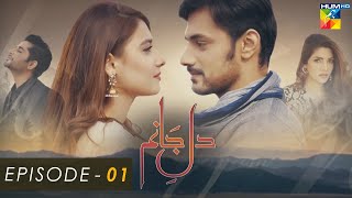 Dil E Jaanam  Episode 01  Zahid Ahmed l Hina Altaf l Imran Ashraf  HUM TV Drama [upl. by Nahtnaoj]