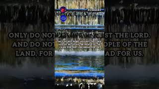 Book of Numbers Ch14 Audio Bible • Numbers Audiobook • Holy Bible Audio [upl. by Donatelli]