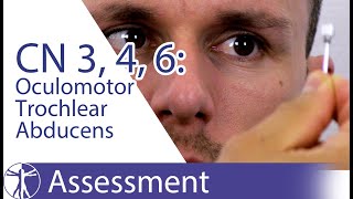 Cranial Nerves 3 4 6 Examination  Oculomotor Trochlear Abducens Nerve Physiotherapy Assessment [upl. by Erich]