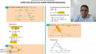 EJERCICIOS DE PROPORCIONALIDAD [upl. by Lajib138]