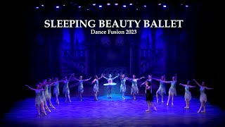 Sleeping Beauty Ballet [upl. by Ardnaik]