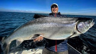 BRUTALER Fisch in der Ostsee gefangen  EXTREM TEUER  Leckerstes CatchampCook [upl. by Roseanne]