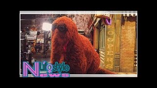 Behold the freakiest moment in sesame street history [upl. by Wallache]