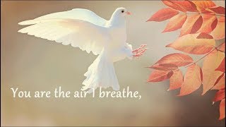 Jerry K  The Air I Breathe  Lyrics  Gospel Music 2017  Praise amp Worship Song [upl. by Aeslehs]