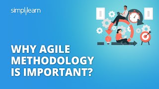 Why Agile Methodology Is Important  Importance of Agile Methodology  Shorts  Simplilearn [upl. by Kajdan773]