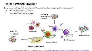 General principles Clinical interpretation of immunogenicity [upl. by Drarig98]