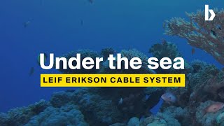 Bulk Fiber Networks – Leif Erikson subsea cable system [upl. by Eustacia355]