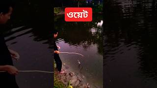 fishing BD part  82 fishing time [upl. by Cynthy]