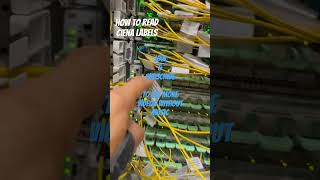 How to read ciena labels fiberoptic [upl. by Asselam69]