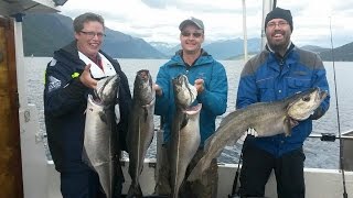 Fishing coalfish in the Romsdalsfjord [upl. by Nashbar]