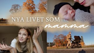 LIVET SOM NY MAMMA👶🏼🍼  hälsar på mormor hur jag läser bibeln amp tips nyfödd🧡🍂 [upl. by Oisinoid]