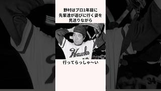 「茶髪はやめろ！！」野村克也に関する雑学野球 日本の野球監督千葉ロッテマリーンズ [upl. by Cohe]