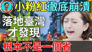 臺灣原來不是一個省，完全是個國家！大陸女孩徹底崩潰！首次踏上臺灣領土突然被震驚！小粉紅的無知暴露無遺！對臺灣的認知是時候改變一下了！台灣  臺灣  主權  認知 [upl. by Daffi]