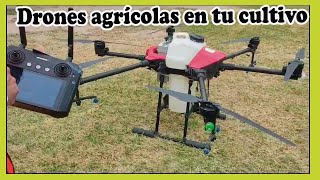 Tecnología d punta cómo los drones agrícolas mejoran la eficiencia y productividad en la agricultura [upl. by Grega797]