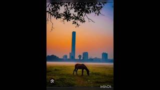 kolkata winter maidan and morning view [upl. by Specht633]