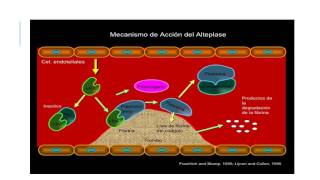 Anticoagulantes y Trombolíticos mecanismo de acción [upl. by Quinn]