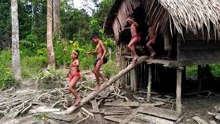 Nyanyian Mentawai Tribe [upl. by Boleyn]