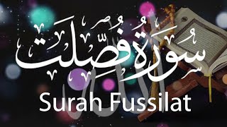 Surah Fussilat  Tilawat e quran  beautiful recitation  حم السجدہ  quran qirat [upl. by Seira847]