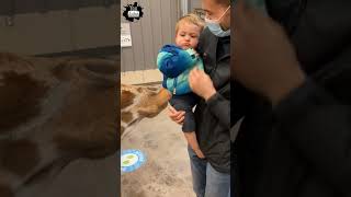 cute baby eating animal 🐺 shorts comedy cutebabies [upl. by Nael501]