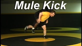 Wrestling Moves KOLATCOM Standup Mule Kick [upl. by Dawson]